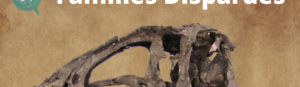Familles Disparues, Épisode 1 : Les Carcharodontosauridés