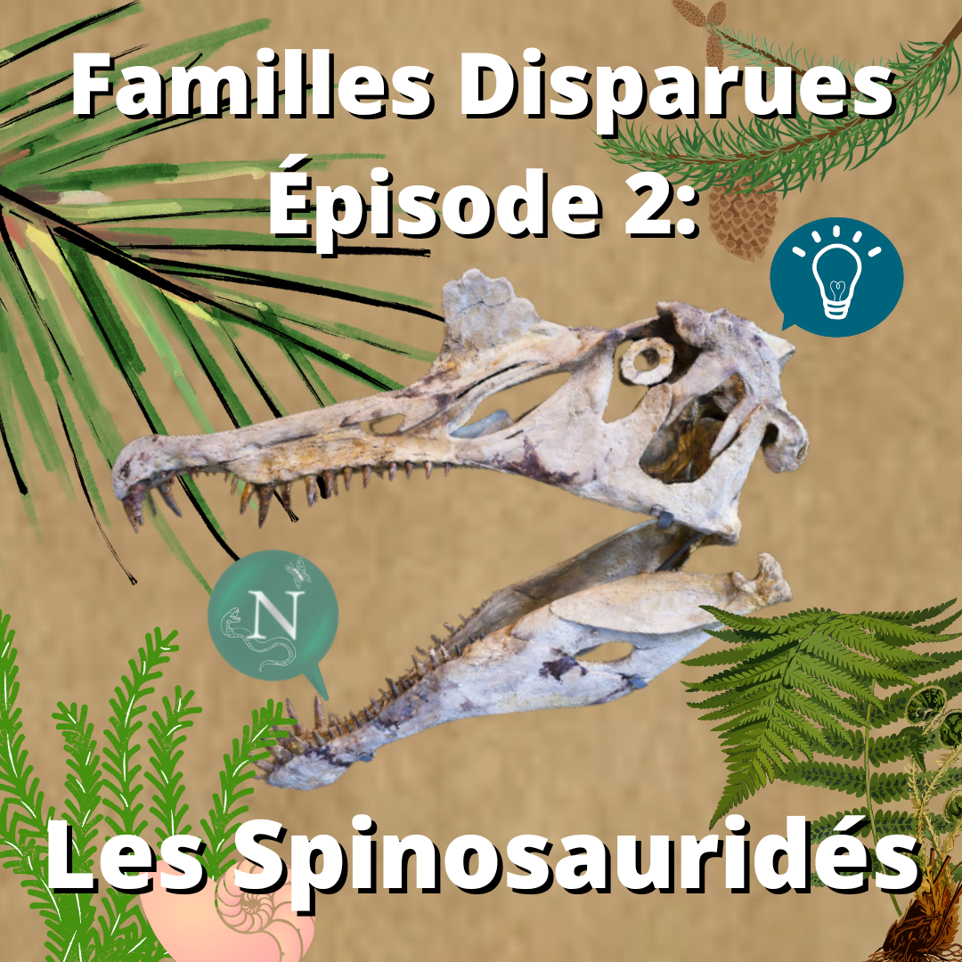 Familles Disparues, Épisode 2: Les Spinosauridés
