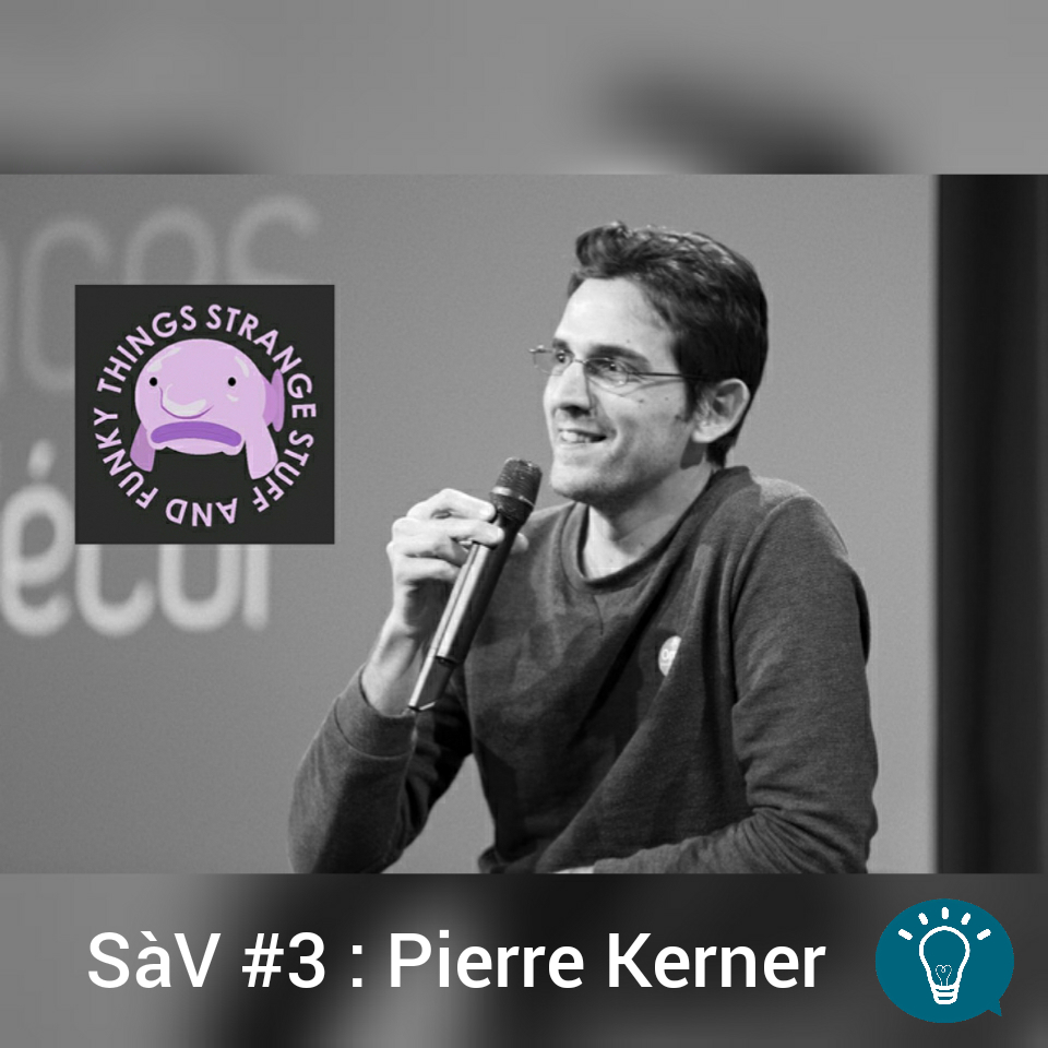 Science à Voir #3 : Pierre Kerner