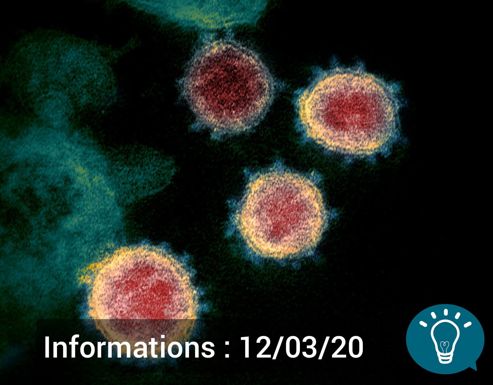 Covid-19 : Informations du jeudi 12/03/2020