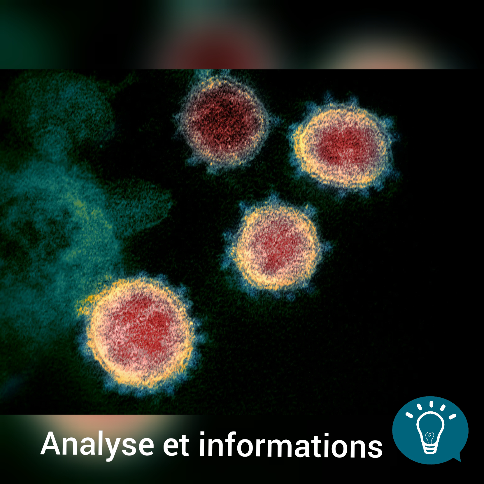 Covid- 19 : Analyse et Ressources