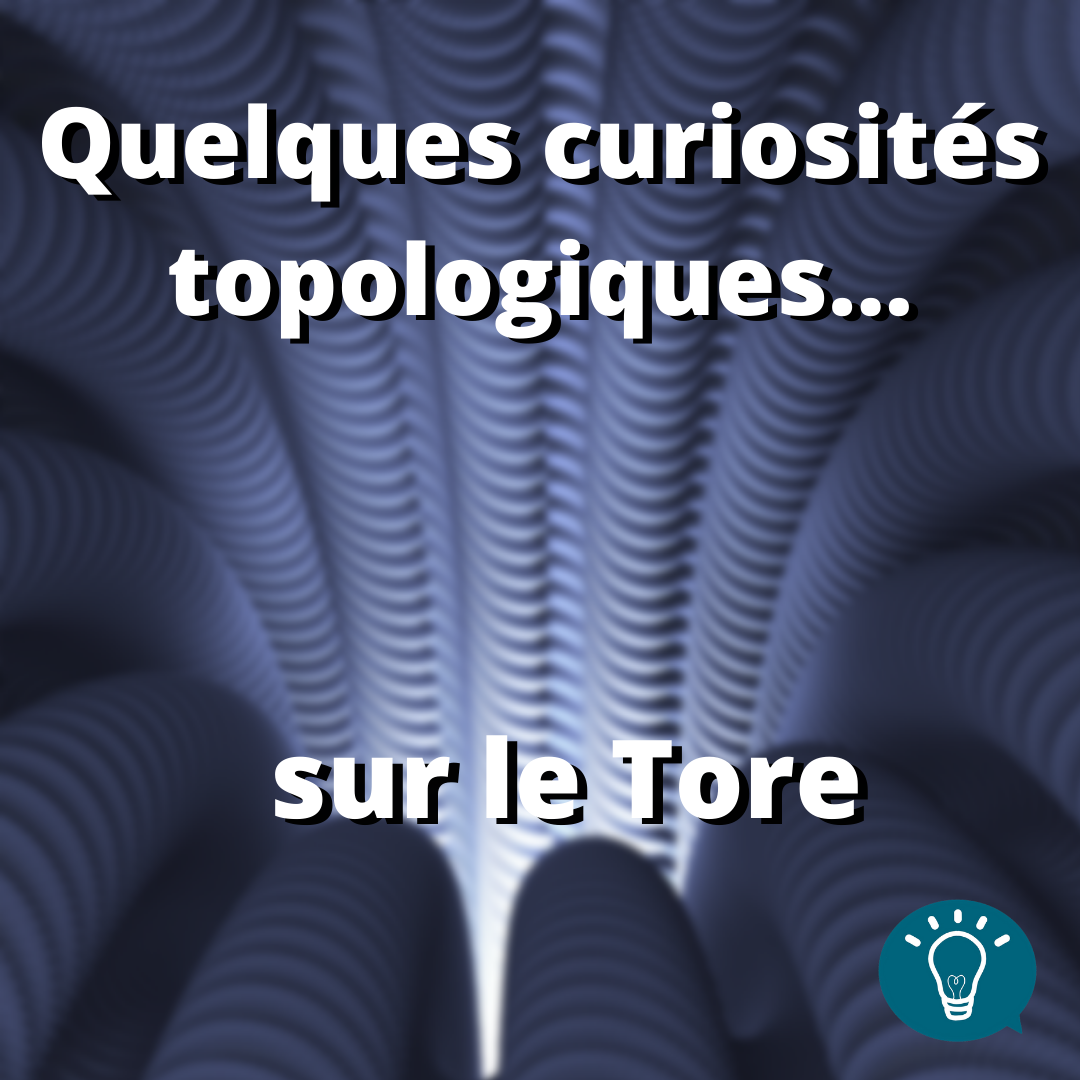 Quelques curiosités topologiques… sur le tore